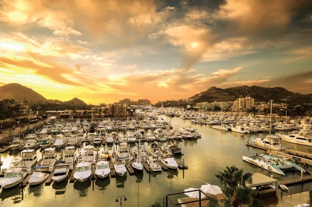 An Angler's Guide to Cabo