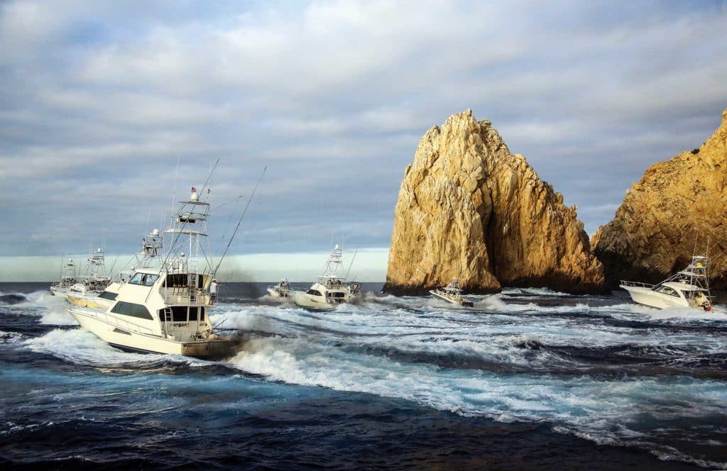 An Angler's Guide to Cabo