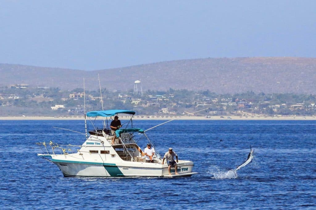 An Angler's Guide to Cabo