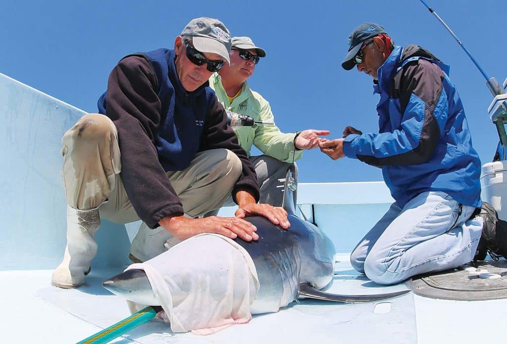 Mako! Supershark of the World's Oceans