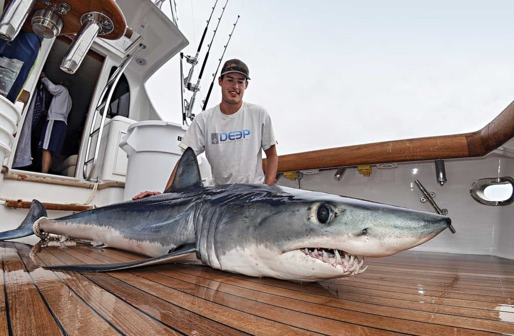 Mako! Supershark of the World's Oceans