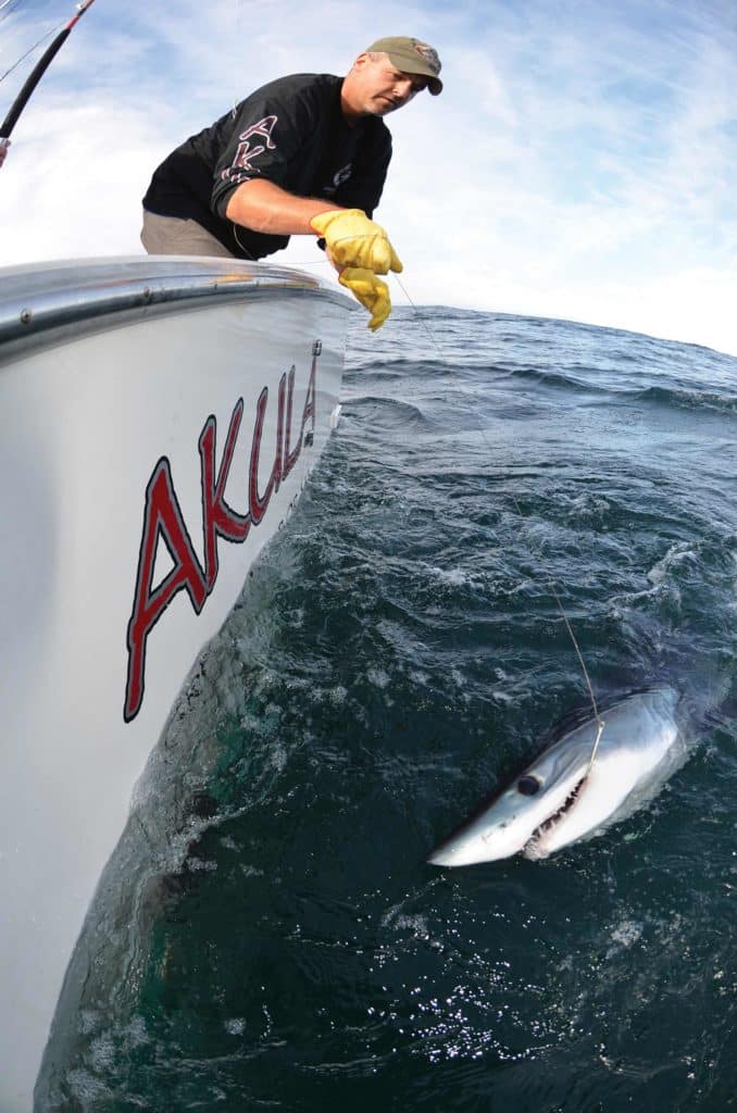 Mako! Supershark of the World's Oceans