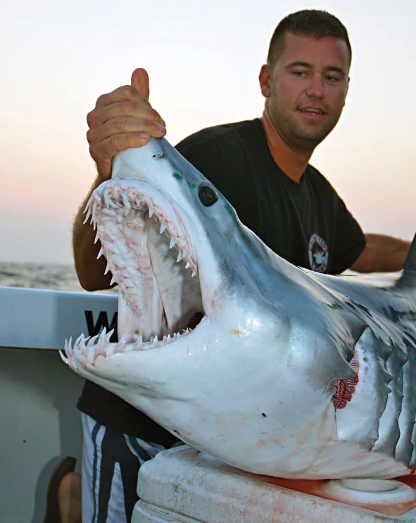 Mako! Supershark of the World's Oceans