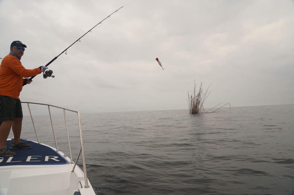 Fishing the Lonely Pacific Coast of Colombia