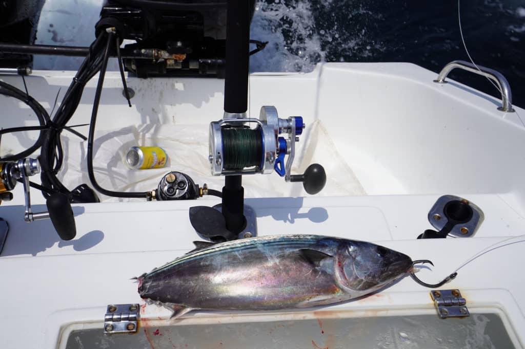 Fishing the Lonely Pacific Coast of Colombia