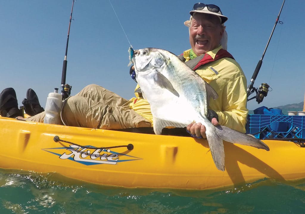 Paloma pompano