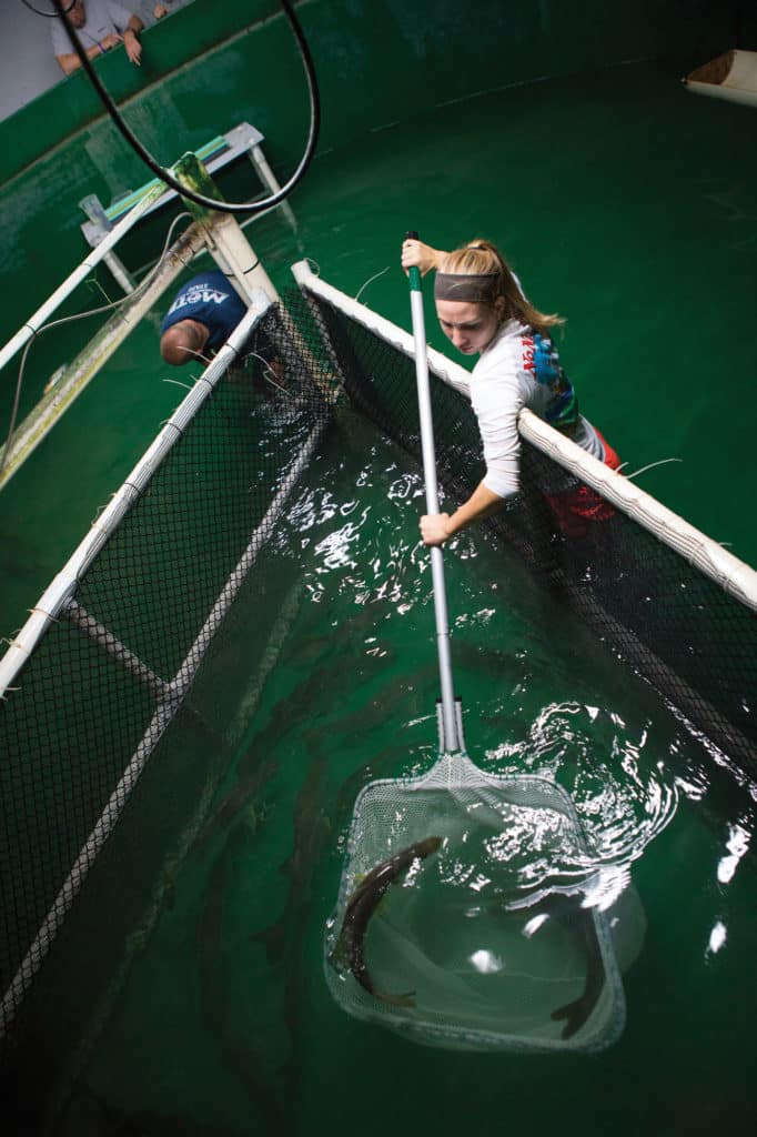 Measuring the Success of Fishery Enhancement Programs