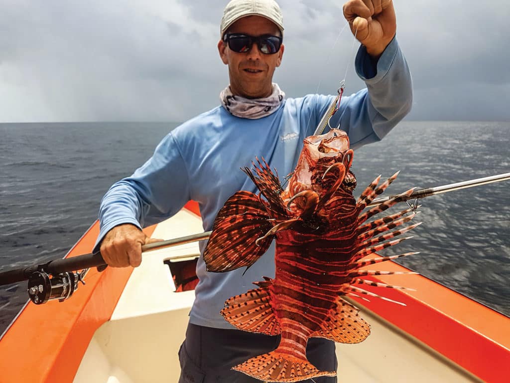 Red Lionfish