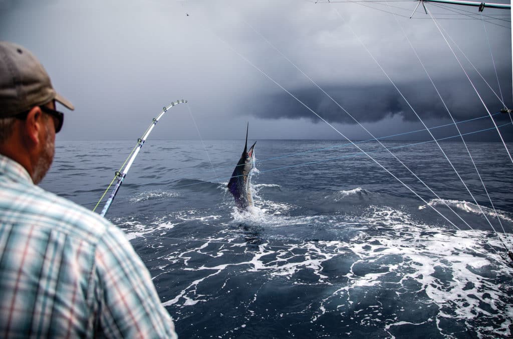 Score a Mid-Atlantic Billfish Slam