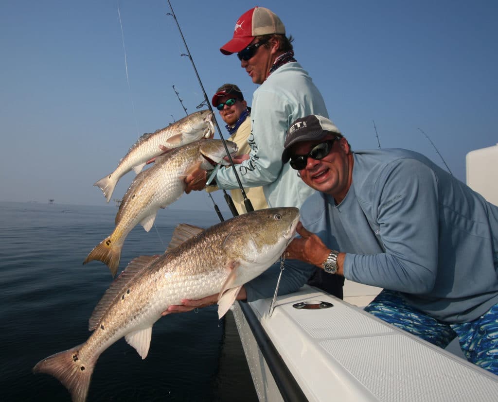 Redfish are one of the most popular gamefish.