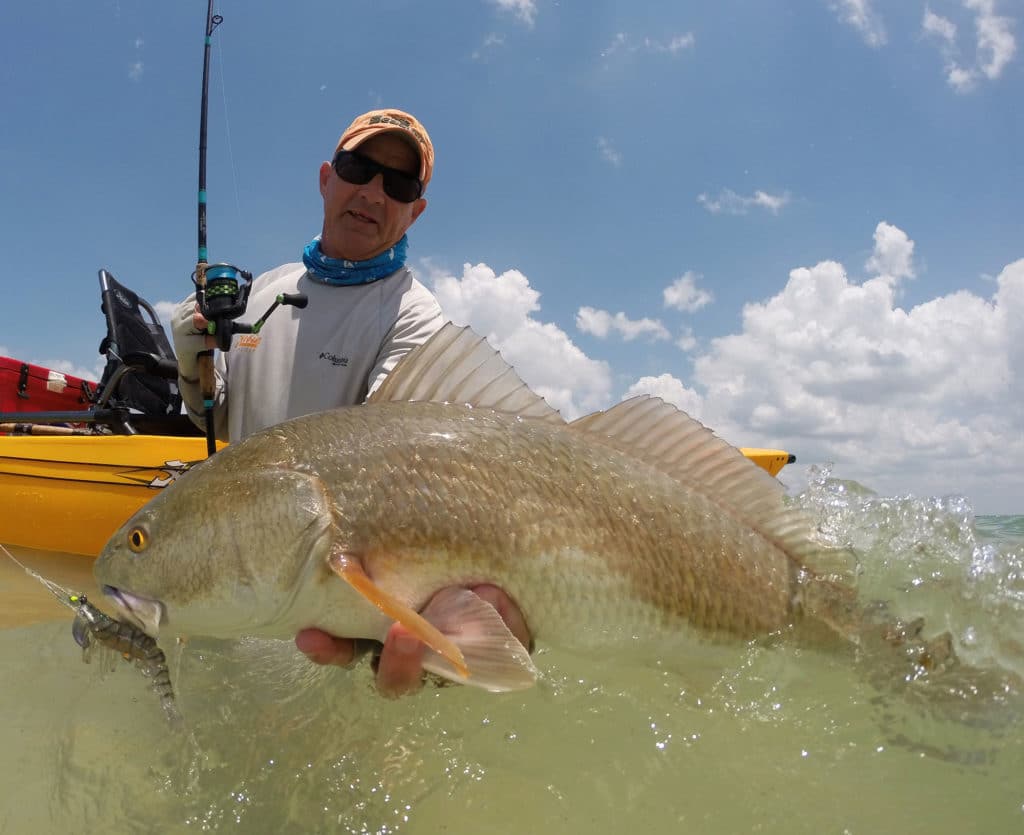 Soft-plastic shrimp can be a great way to tempt redfish.