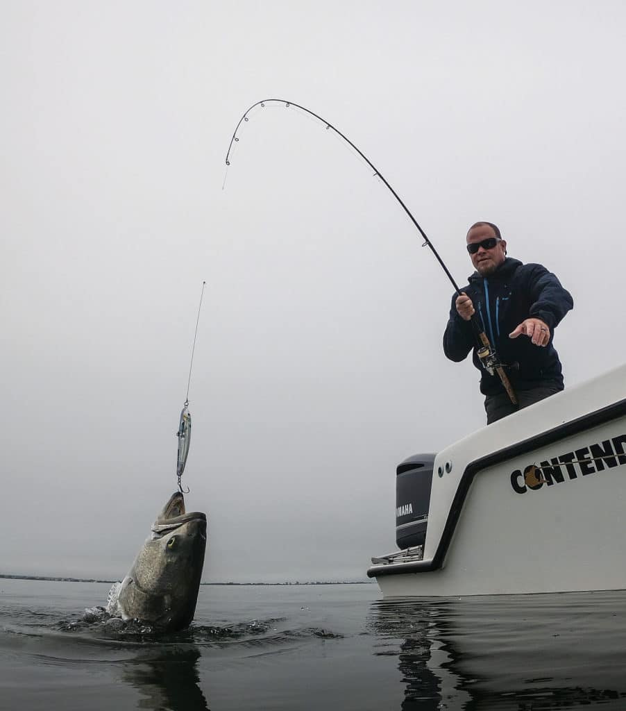 Capt. John McMurray eases another blue to his boat