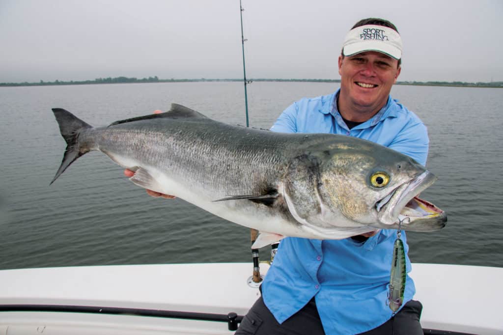 Big bluefish in the boat