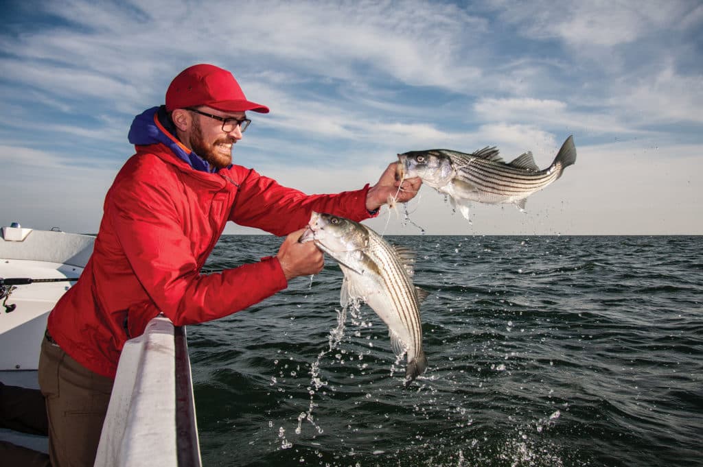 Find Fast Fishing for Striped Bass