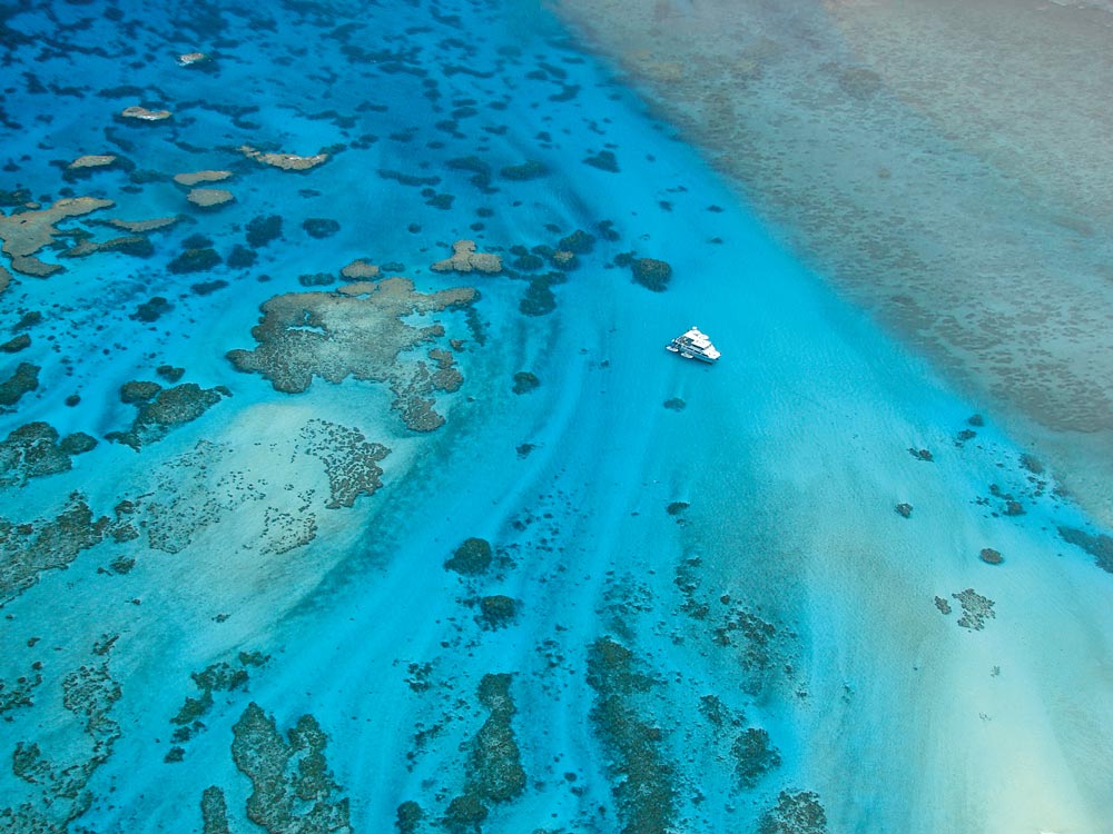 Tropical reef with a boat anchord