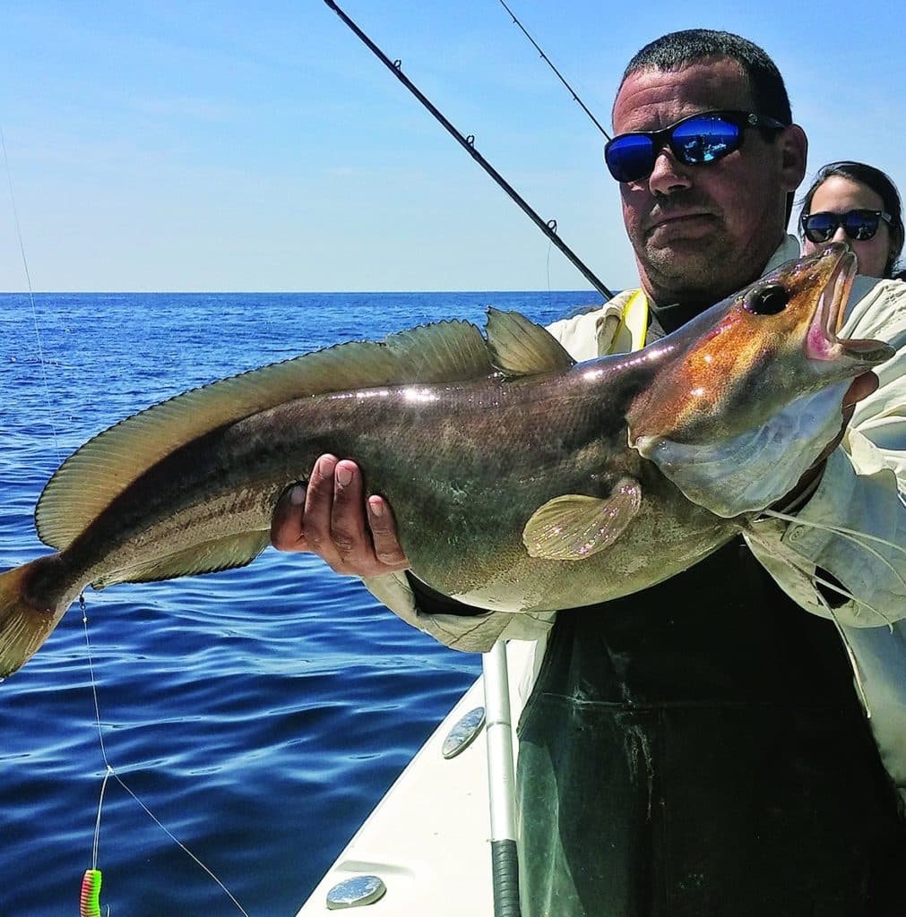 Strange Fishes From the Deep — White Hake