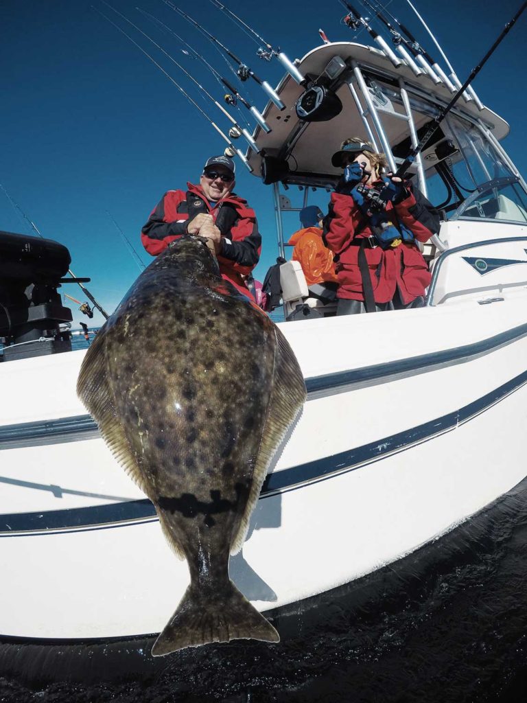 Another big Pacific halibut comes aboard