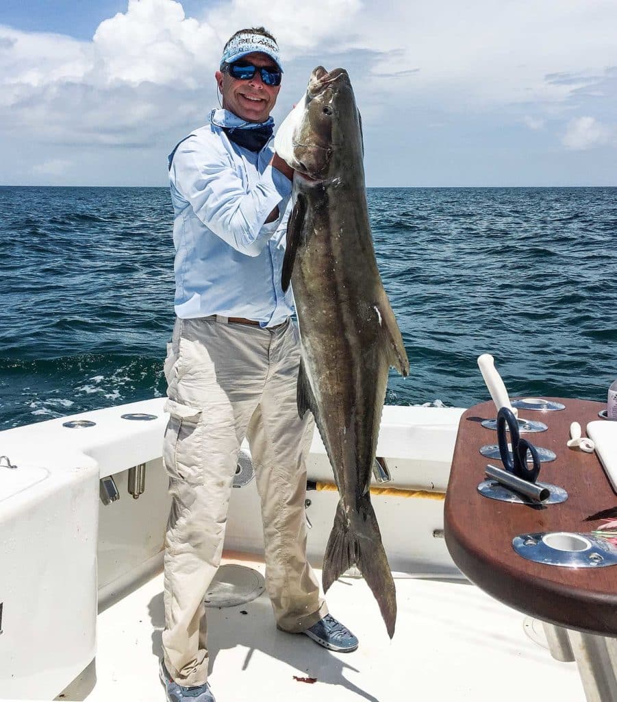 Sight-Fishing Cobia off North Carolina