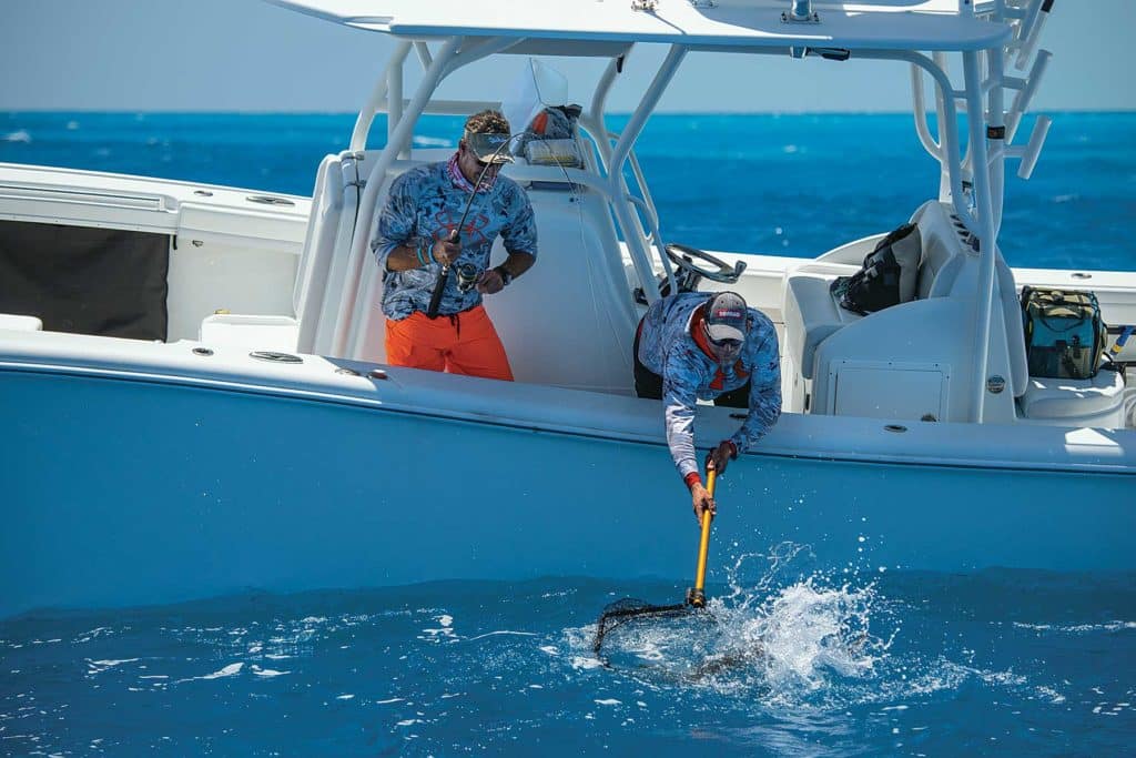 Sight-Fishing Cobia off North Carolina