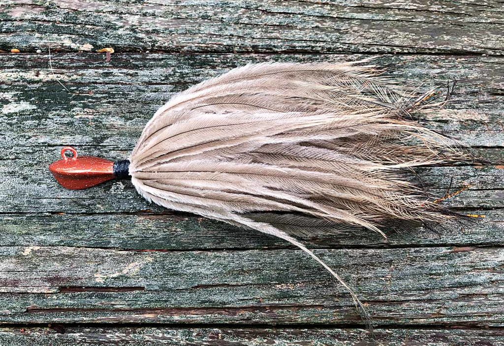 Sight-Fishing Cobia off North Carolina