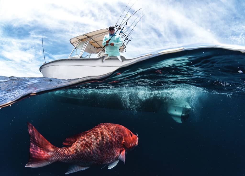 Often, larger red snapper will follow a slow-pitch jig well up off the reef