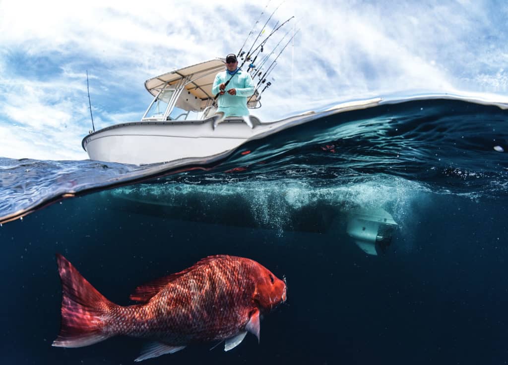 Smallest Reel Size for Snapper in 100 Feet - The Hull Truth