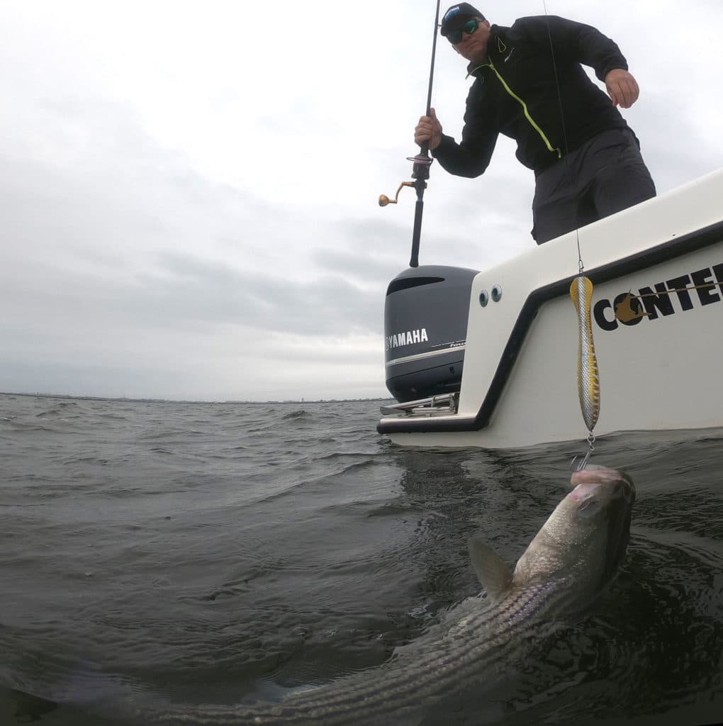 Catching Striped Bass