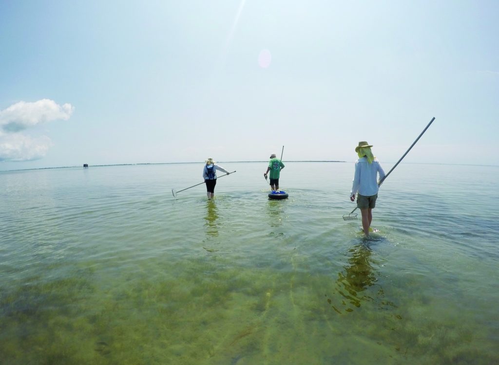 Fishing North Carolina's Outer Banks - time for family clamming