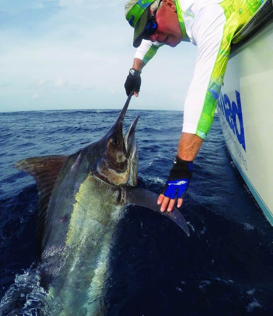 Australia's Great Barrier Reef — releasing a black marlin