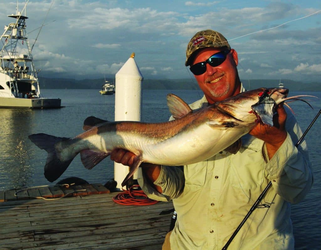 Strange Fishes from the Deep - A Flapnose Catfish