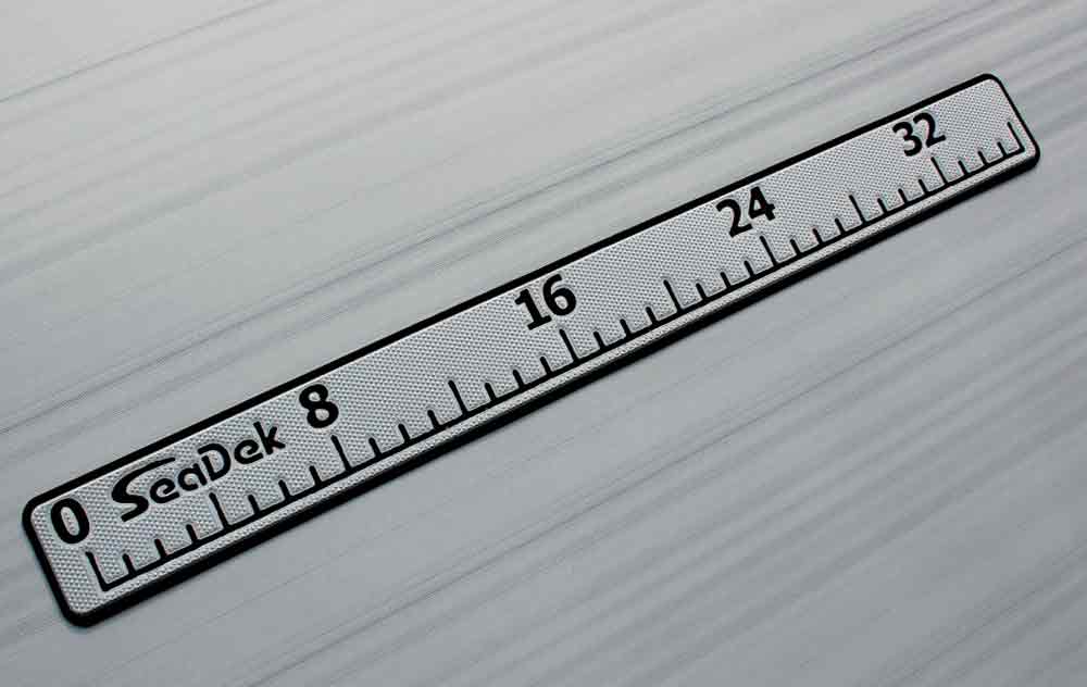 ruler for measuring fish
