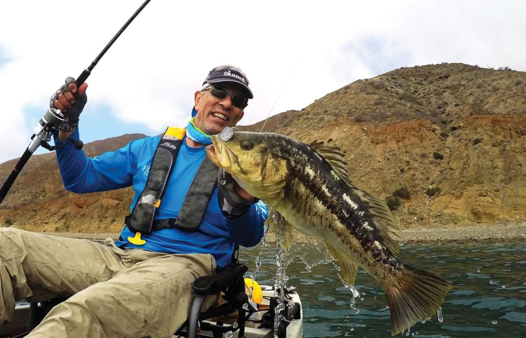 A big calico bass from the kayak