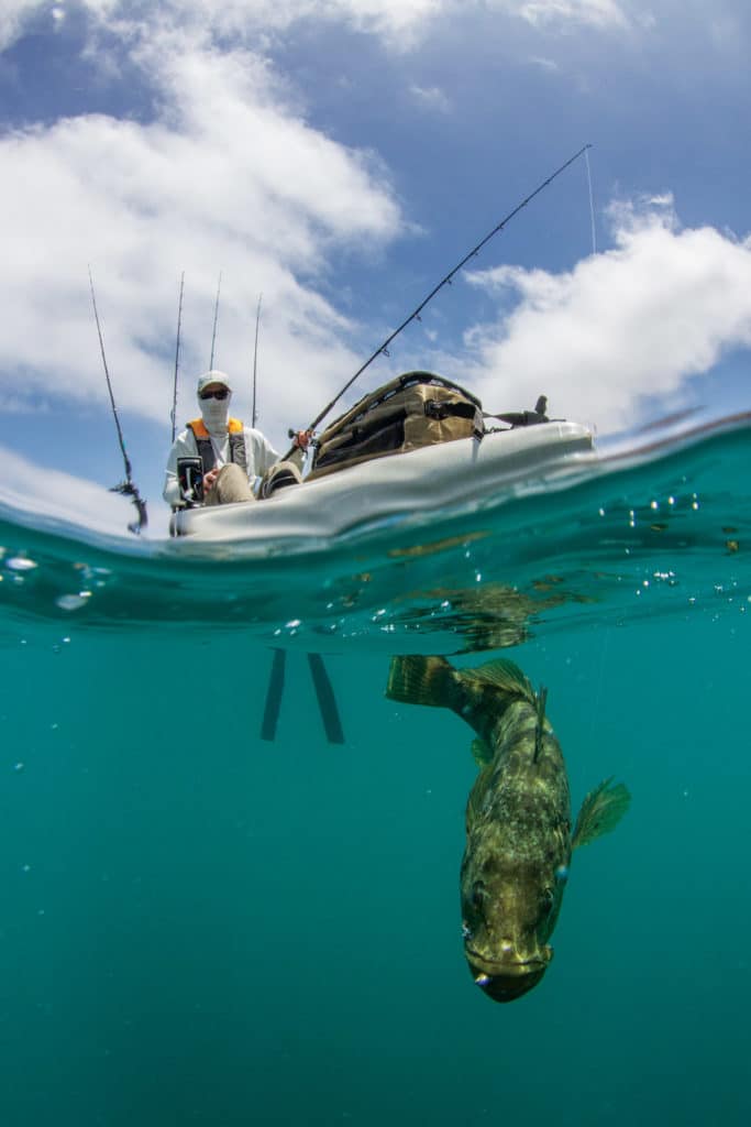 Kayak angler hooks kelp bass off Cedros Island, Baja