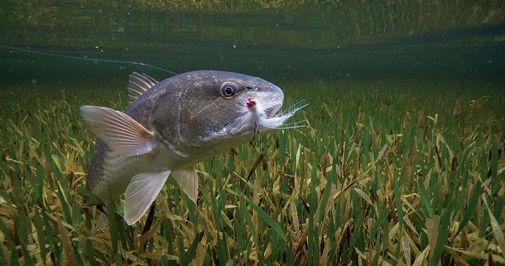 Fishing Tackle for Redfish