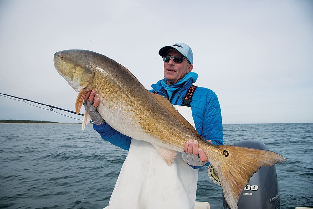 Angler holding big bull red fish caught fly fishing North Carolina