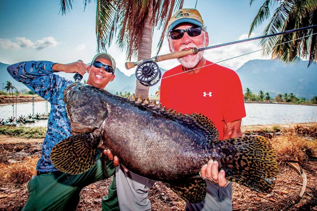 Queensland groper