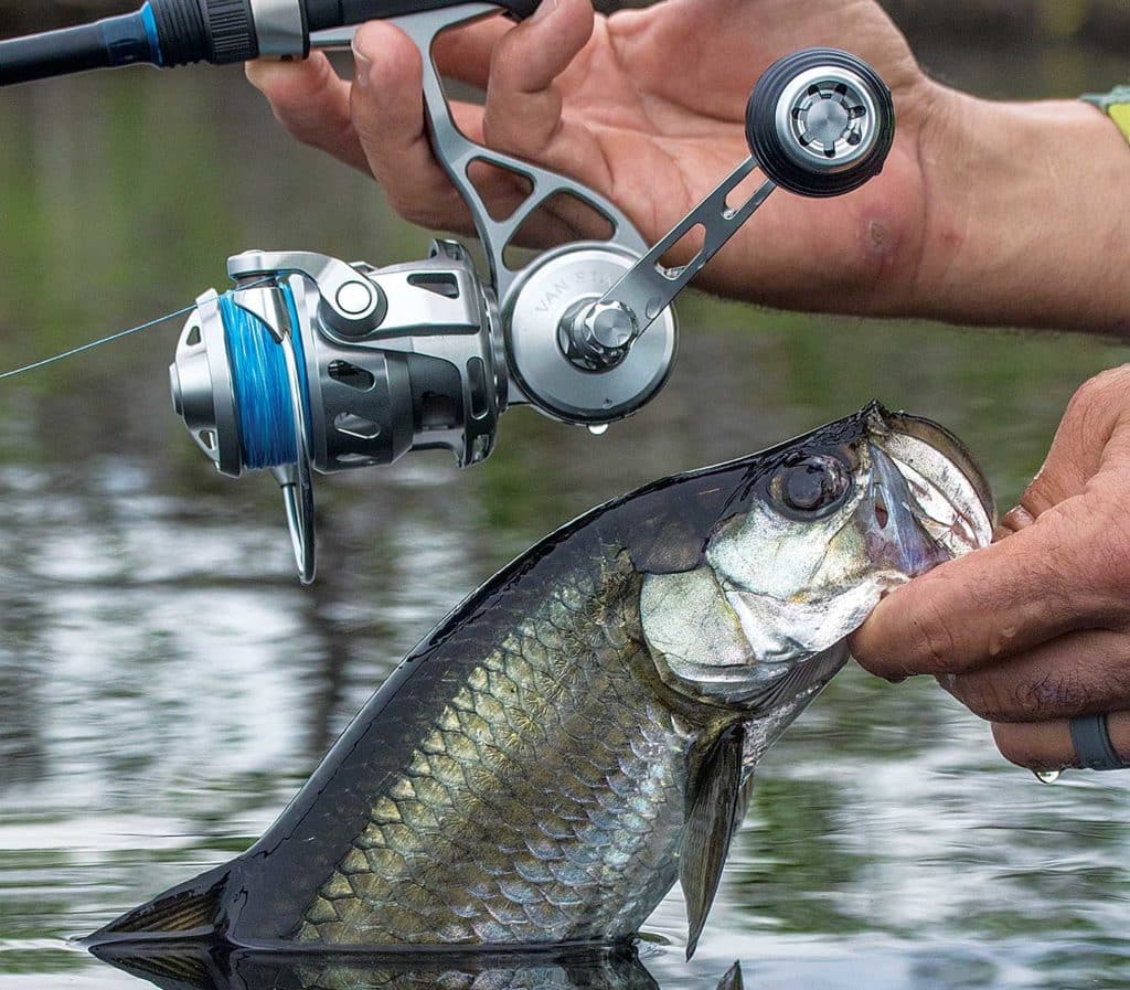Which Reel-Handle Design is Best for You?