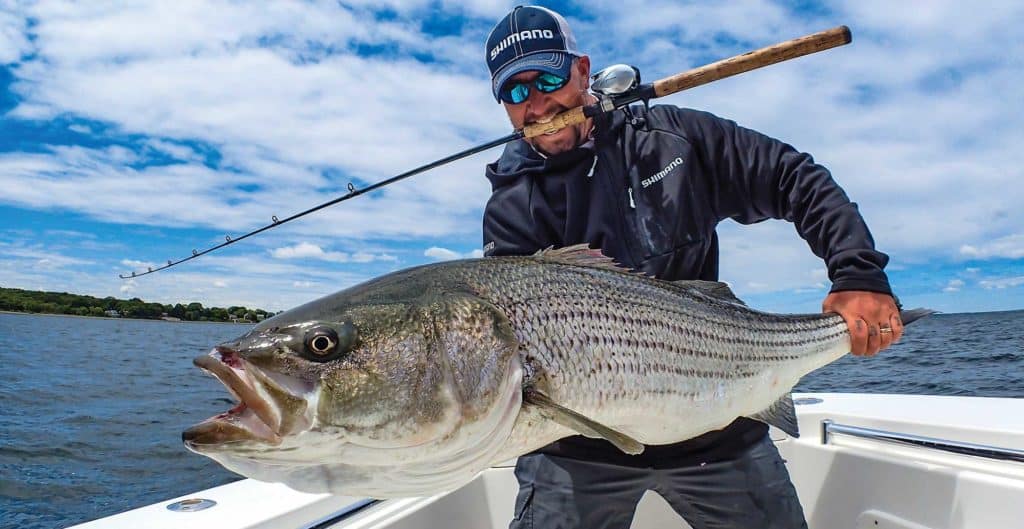 Rhode Island Striped Bass: Stripers Jump All Over Jumpin' Minnow