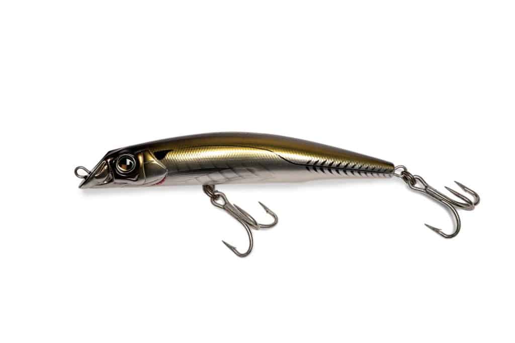 Best Lures for Striped Bass