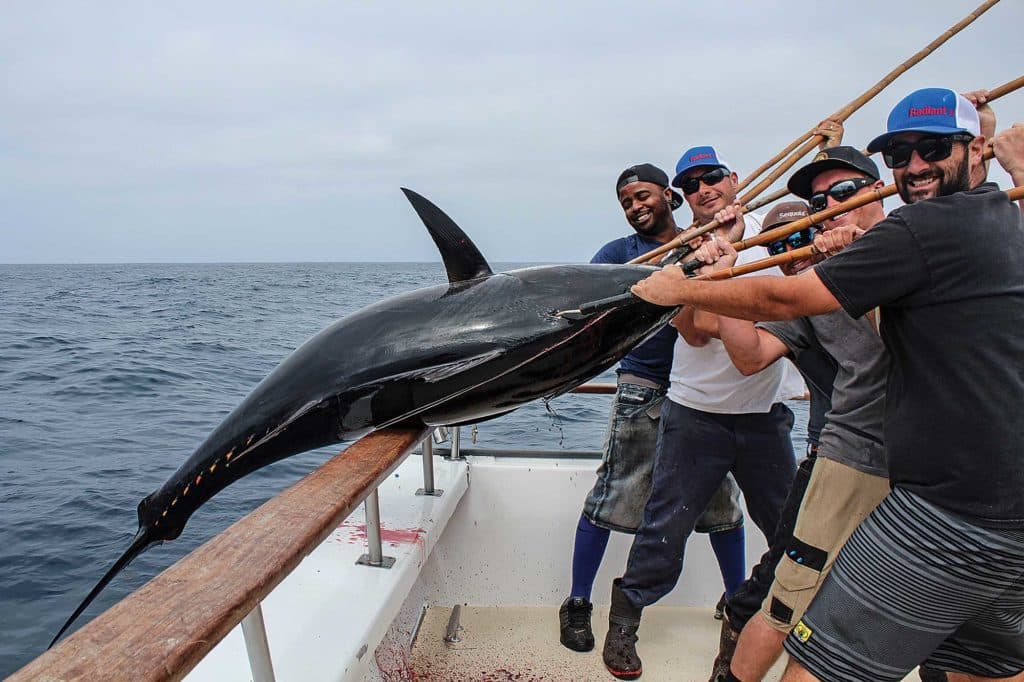 Kite Trolling for Pacific Bluefin Tuna