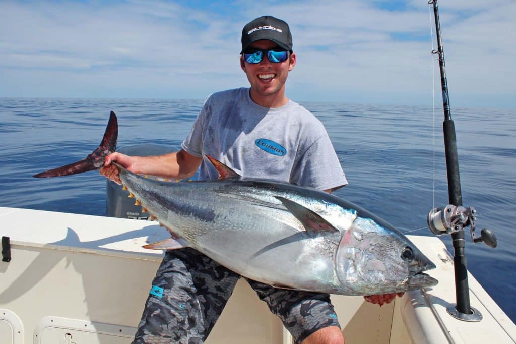 Kite Trolling for Pacific Bluefin Tuna