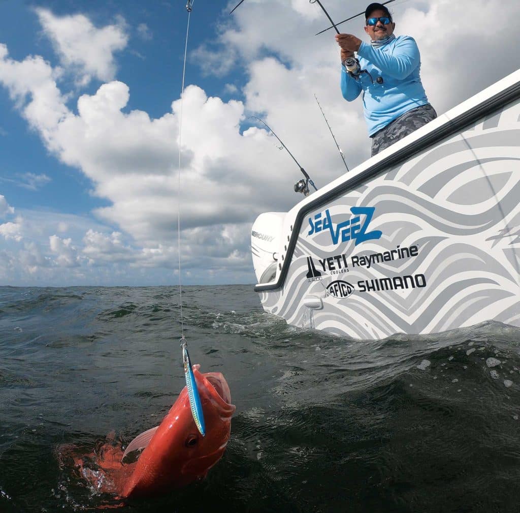 Blue lure catches red snapper