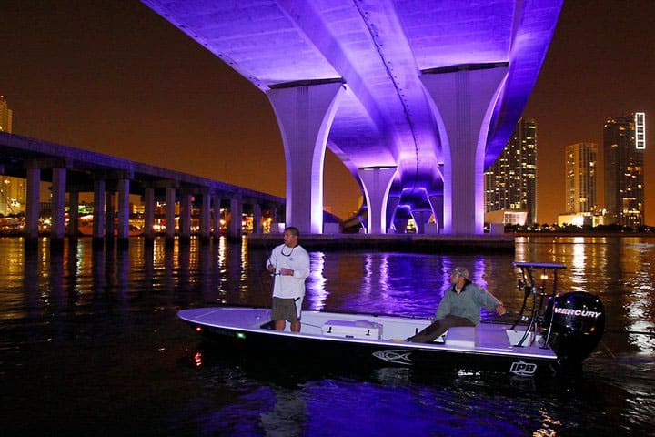 Fishing bridges at night in Miami