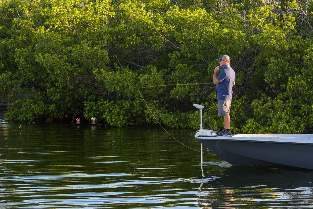 Fly fishing for tarpon