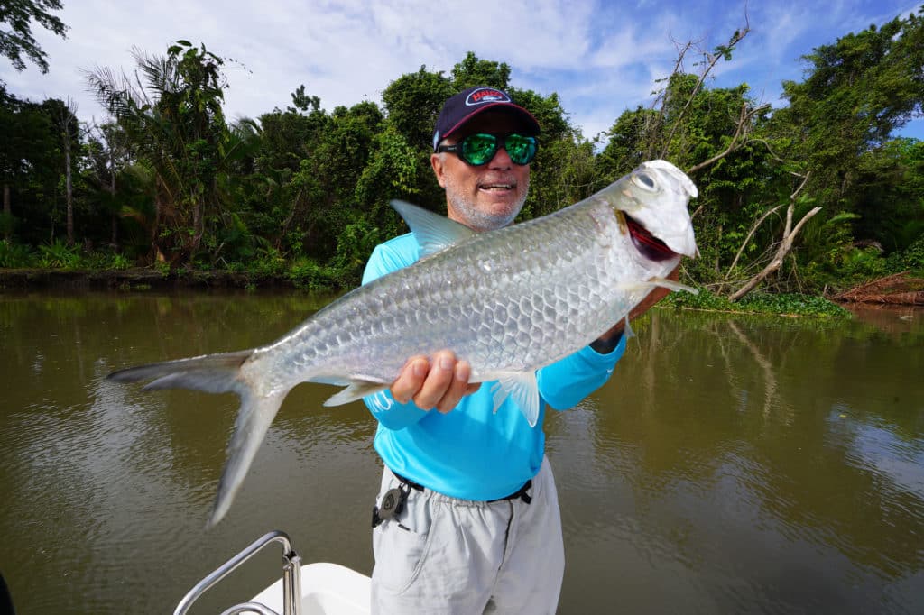 Pacific tarpon caught by Large