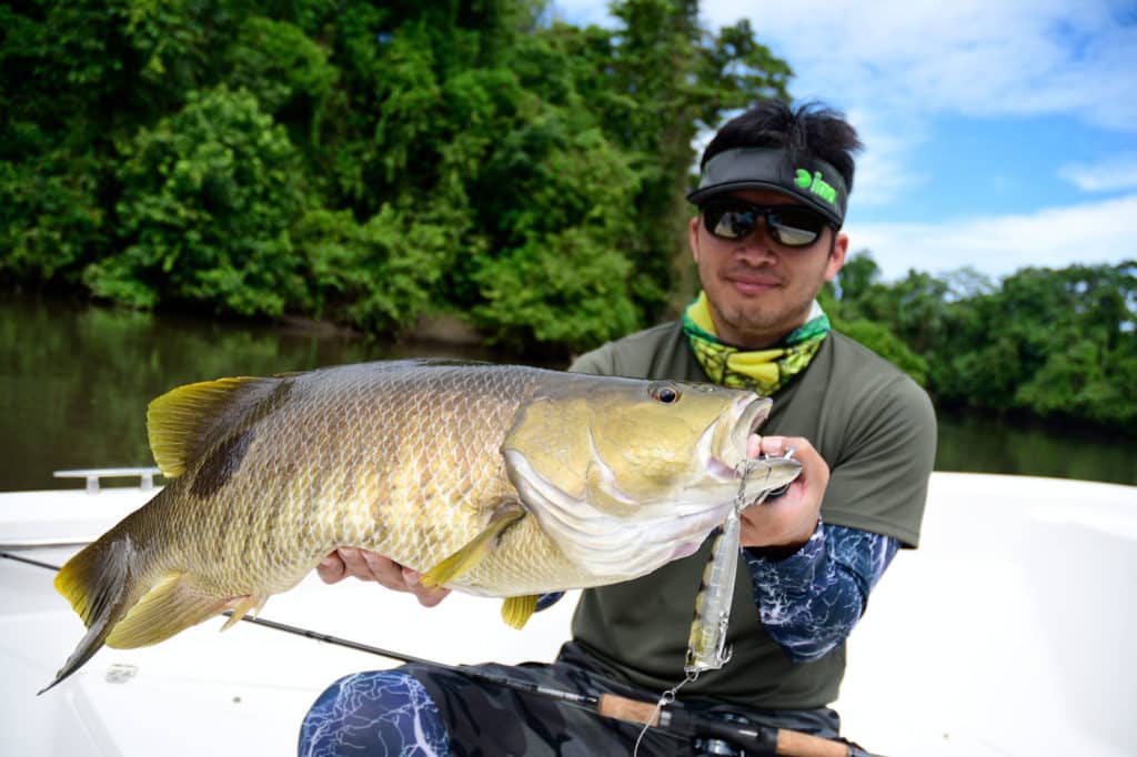 Spot-tail bass caught by Tyng Wey