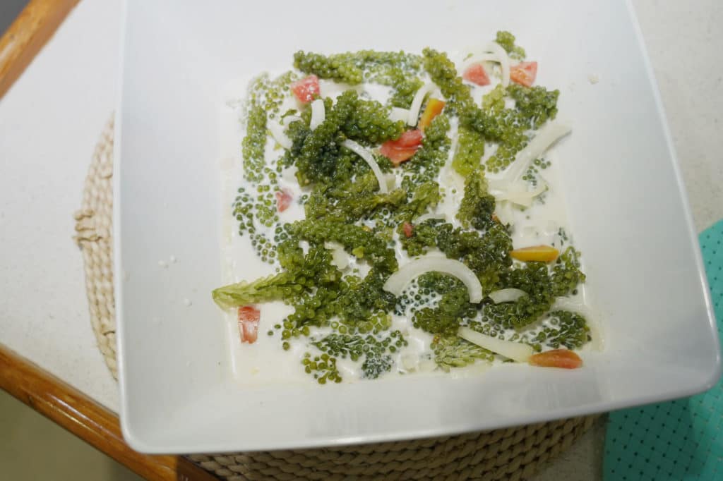 Seaweed salad