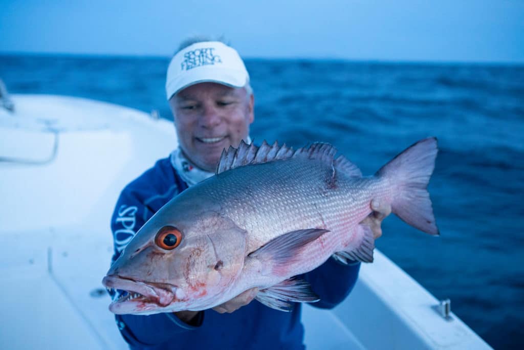 Red snapper caught on a lure