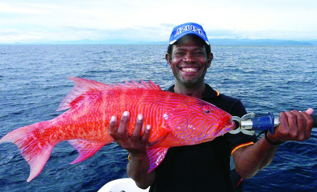 Strange Fishes from the Deep - A Highfin Coral Grouper