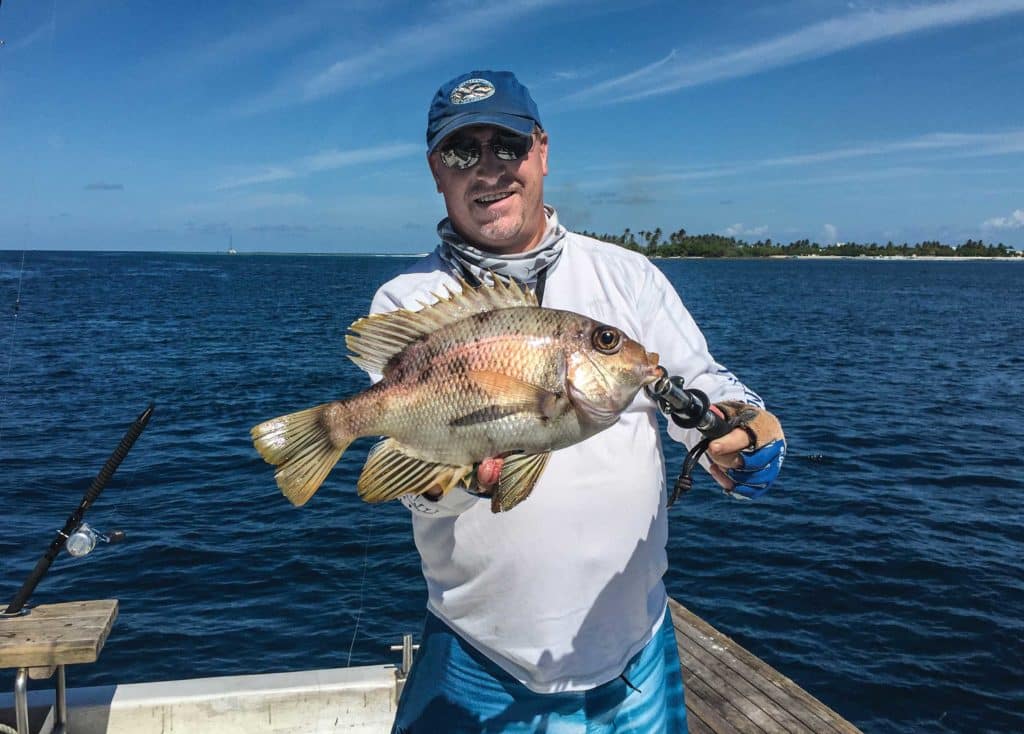 Mozambique large-eye bream